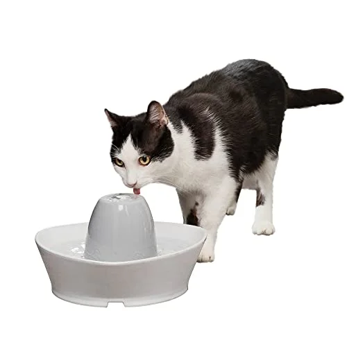 PetSafe Ceramic Pet Fountain - Rank 4 in Best Cat Water Fountain of 2025