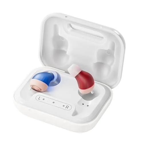Flaygo Rechargeable Mini Hearing Aids - Rank 7 in Best Hearing Aids of 2025