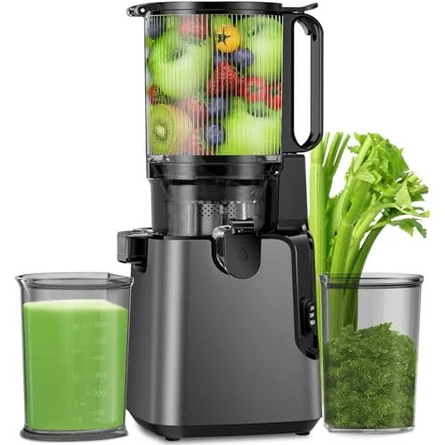 YPONE Cold Press Juicer Titanium Gray - Rank 8 in Juicer Machines