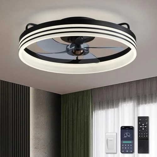 LUDOMIDE 20" Ceiling Fan with Lights - Rank 10 in Best Bladeless Ceiling Fan of 2025