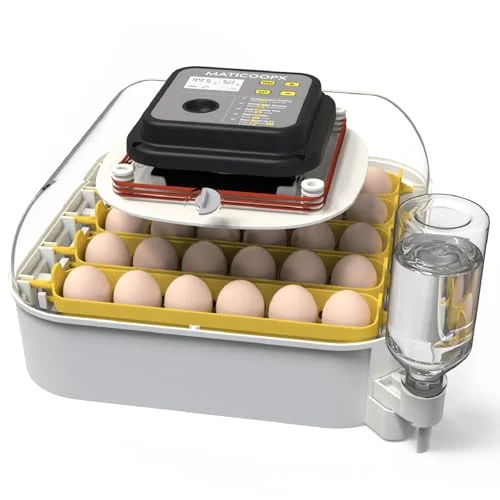 Best Egg Incubator of 2025 - Top rated Other products