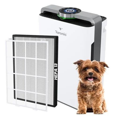 Turonic PH950 Air Purifier and Humidifier Combo - Rank 6 in Best Air Purifier And Humidifier of 2025