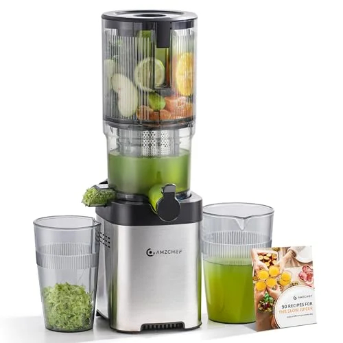 AMZCHEF Cold Press Juicer - Rank 6 in Juicer Machines