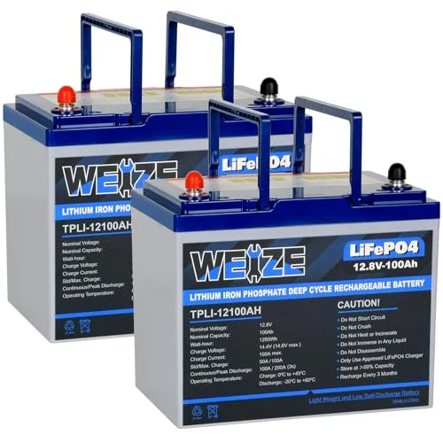 WEIZE 12V 100Ah LiFePO4 Lithium Battery - Rank 10 in Best Rv Batteries of 2025