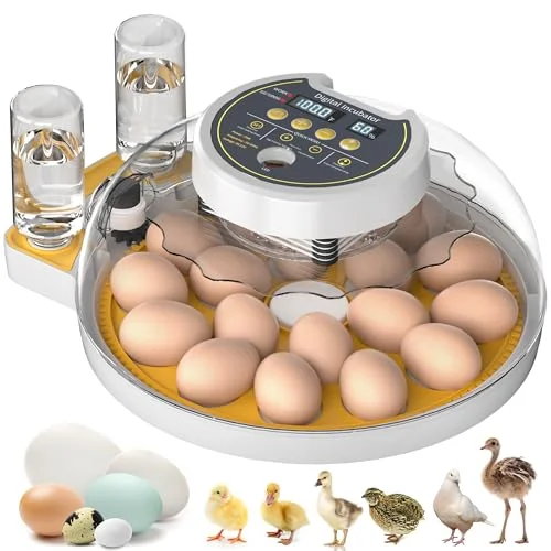 Onsju 18 Egg Incubator with Auto Features - Rank 8 in Best Egg Incubator of 2025