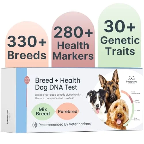 Basepaws Dog DNA Testing Kit - Rank 2 in Dog Dna Tests of 2025
