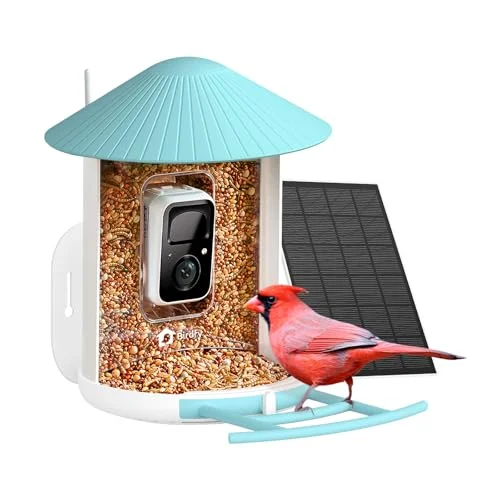 NETVUE Birdfy Smart Bird Feeder Camera - Rank 1 in Best Smart Bird Feeder of 2025