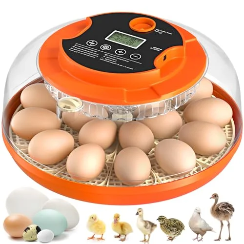Onsju 18 Egg Incubator with Auto Turning - Rank 5 in Best Egg Incubator of 2025
