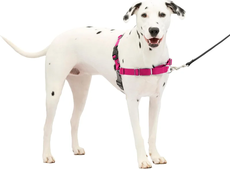 Best No Pull Dog Harness of 2025 - Top rated Pets products