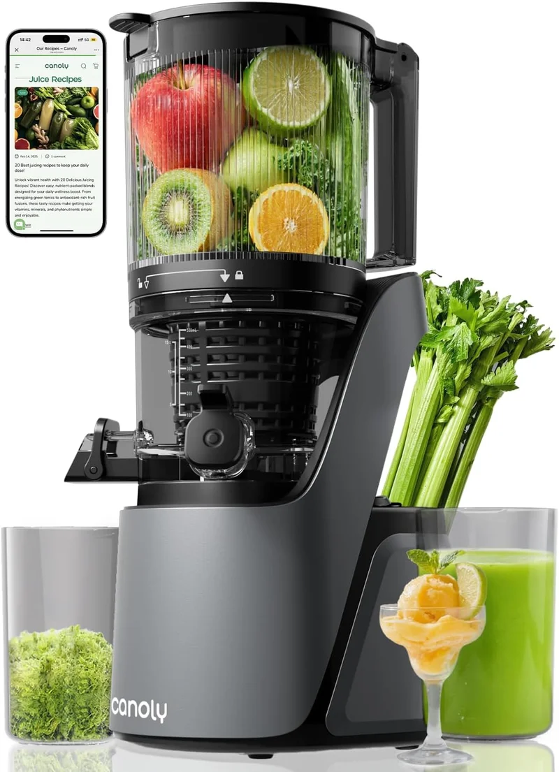Canoly Cold Press Juicer Space Gray - Rank 8 in Best Juicers of 2025