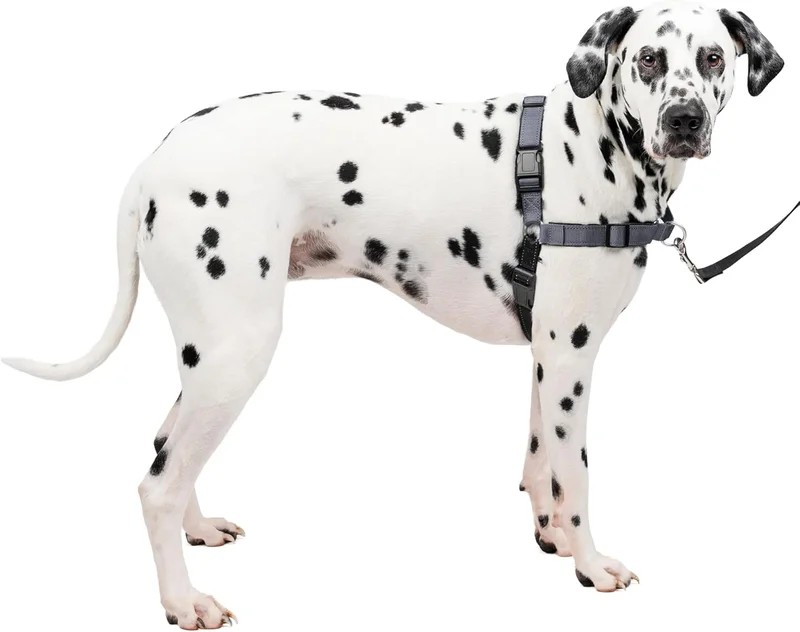 PetSafe Easy Walk Deluxe Dog Harness - Rank 4 in Best No Pull Dog Harness of 2025