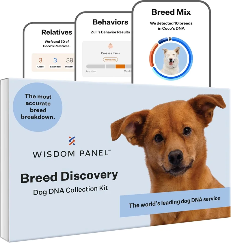 Wisdom Health Breed Discovery Dog DNA Kit - Rank 6 in Dog Dna Tests of 2025